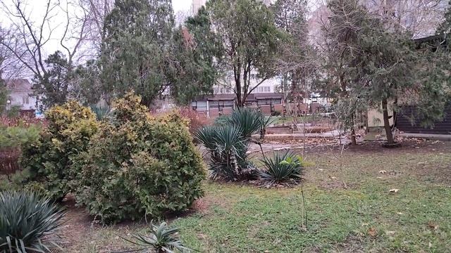 Анапу накрывает непогода. Но пока тепло! 8 января 2026. смотреть онлайн