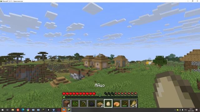 первое видео с компа