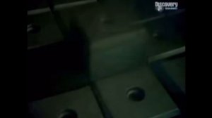 ЭВОЛЮЦИЯ КОТЯТ 2 СЕЗОН 2 СЕРИЯ ПРИЯТНОГО ПРОСМОТРА И ПРИЯТНОГО АППЕТИТА