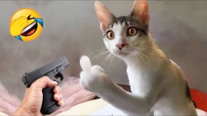 Смешные животные мгновенно скрасят ваш день! 😂