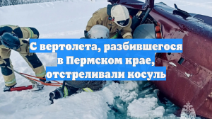 С вертолета, разбившегося в Пермском крае, отстреливали косуль