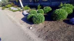 Каменка-Днепровская, ул. Осипенко