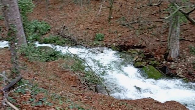 И снова - Крестовая-2. 07.01.26. смотреть онлайн