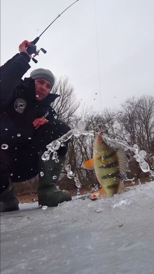 МОЙ БОЛТ КОСИТ РЫБУ ТОННАМИ. Рыбалка #астраханскийклёв