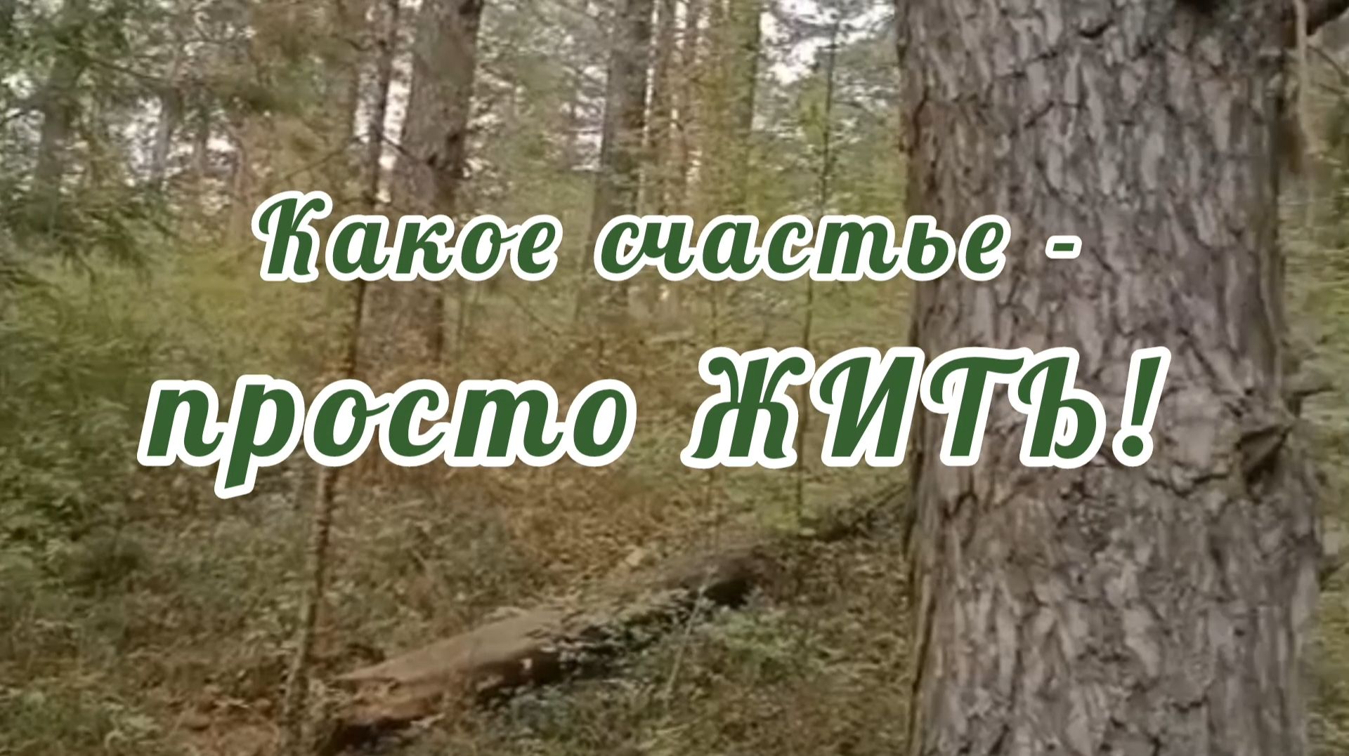 КАКОЕ СЧАСТЬЕ- ПРОСТО ЖИТЬ!