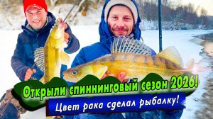 Городские привередливые судаки или когда нюансы решают в рыбалке! | Зимний спиннинг, СтритФишинг