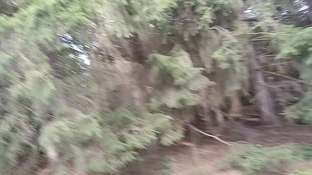 Прогулка по аграрному парку смотреть онлайн