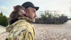 Анфиса идет на встречу к Люсиной банде😂