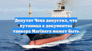 Депутат Чепа допустил, что путаница в документах танкера Marinera может быть