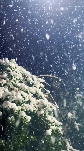 Зима в Ялте 🌨️❄️👍