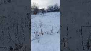 Каково это - быть ИП? 20260108_120612