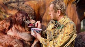 В этом видео УНИКАЛЬНО ВСЕ! Олег Зубков кормит орангутана Дану ВКУСНЕЙШИМ БОРЩОМ!))