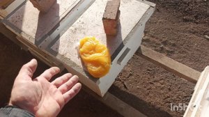 Разложил мёд нуждающимся , облёт.