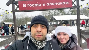 В гости к альпакам