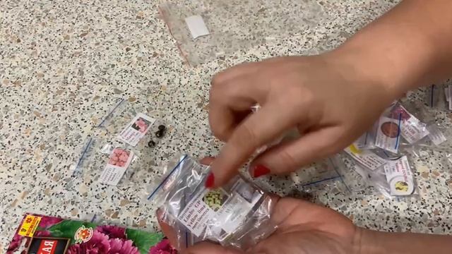 Семена цветов с сайта соло-семена. Январь 2026 смотреть онлайн