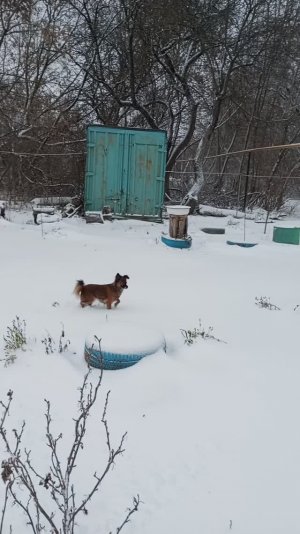 У нас в селе хорошая погода, прогулялись