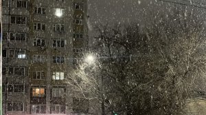 🛤️🚂🚞🚃🚞🚃🚞🚃🛤️