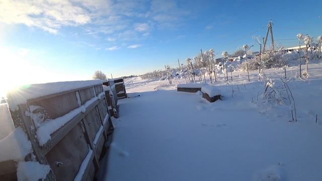 Охота на зайца 08.01.2026. в Ленинградской области сезон 2025-2026 смотреть онлайн