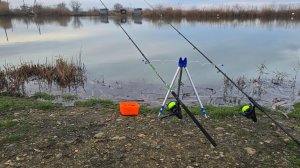 Рыбалка на карпа в новом году