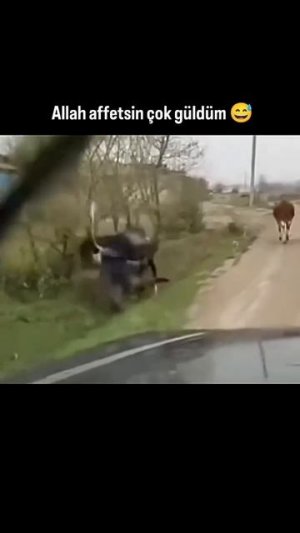 Плохая шутка.