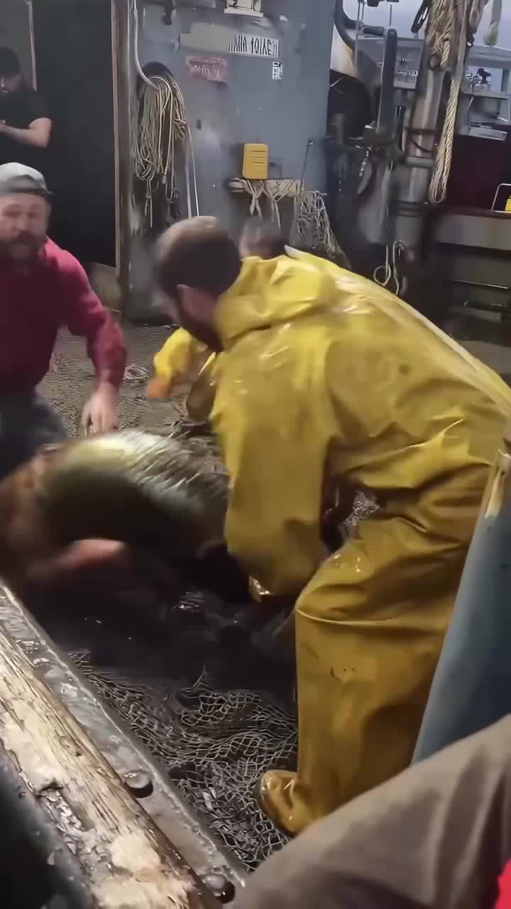 Поймали Aриэль 😂😂 смотреть онлайн