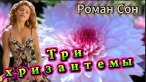 Три хризантемы - Роман Сон