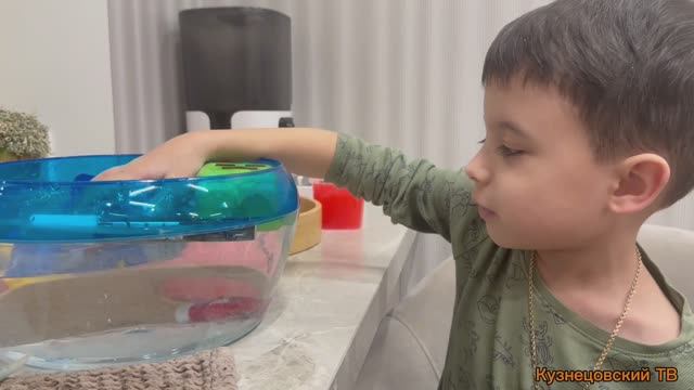 Утонет или всплывет челендж смотреть онлайн