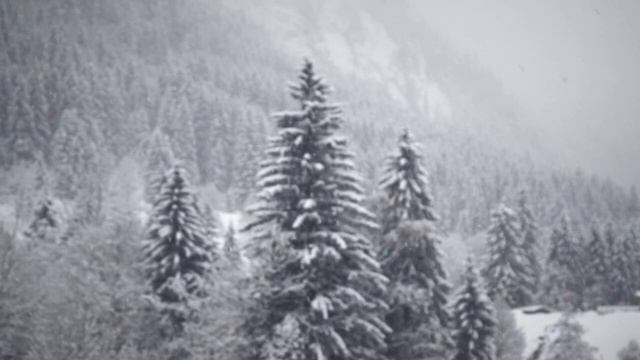 8 января - День света. Попросите и все исполнится. смотреть онлайн