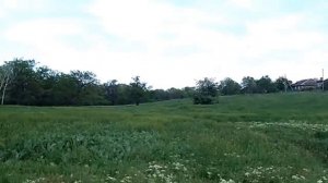 Конзаводские луга 2019