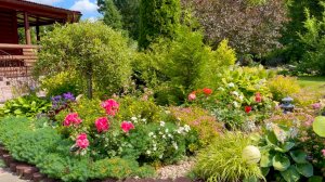 Долговечность штамбовых форм лиственных деревьев. Ошибки в обрезке.