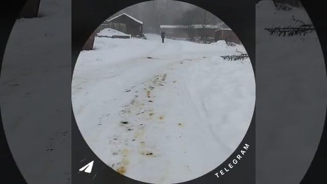 катаюсь на снегокате