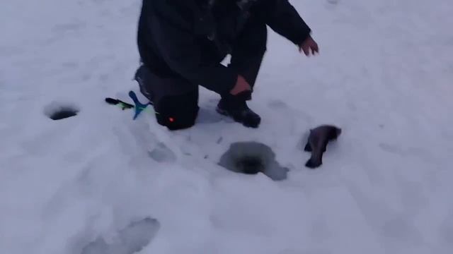 08.01.26 г. РК Волна смотреть онлайн