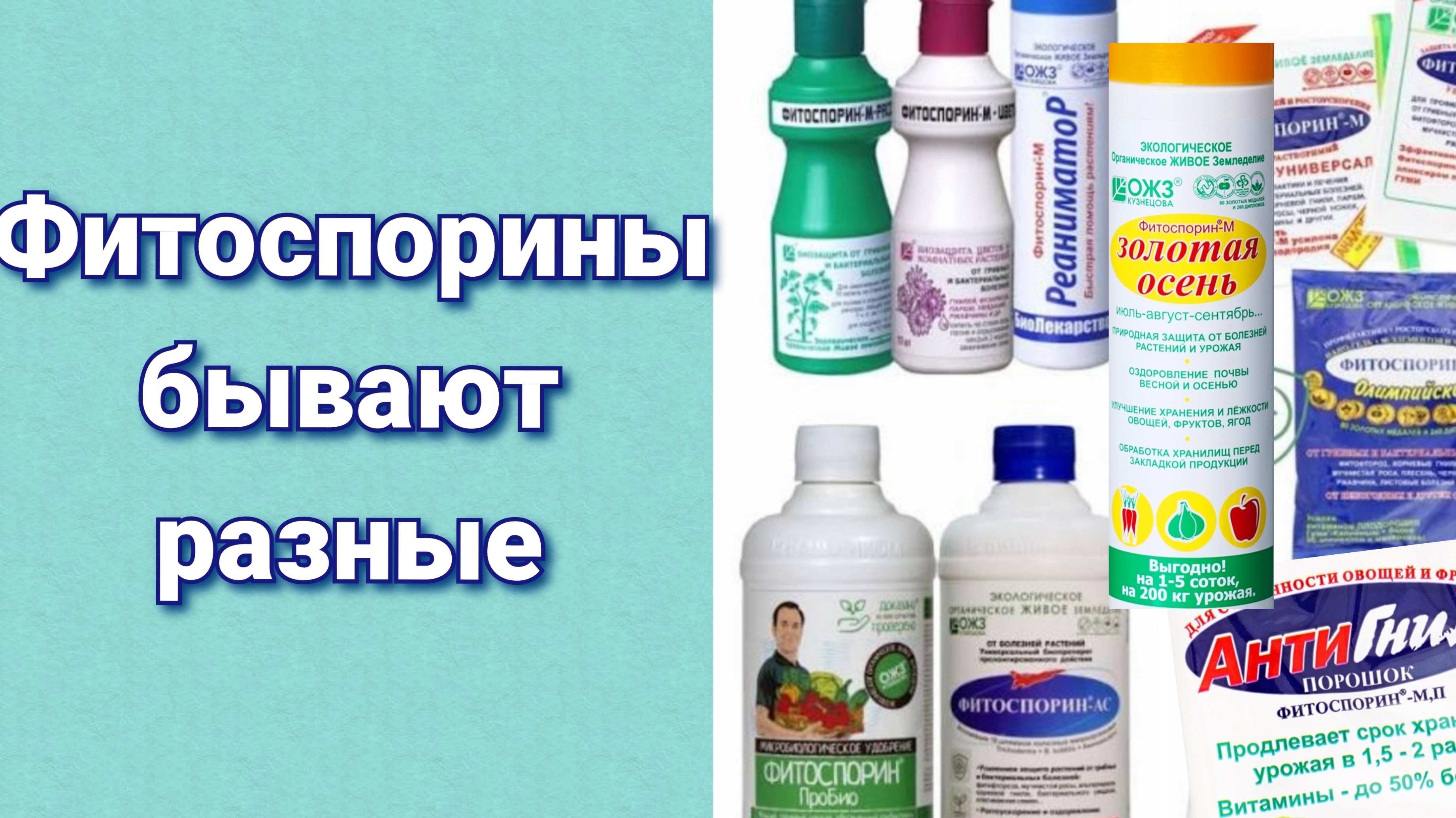 Как выбрать фитоспорин. Давайте разбираться смотреть онлайн