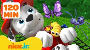 Щенячий патруль: Спасение насекомых!  | 2 часа | Nick Jr. Cyrillic