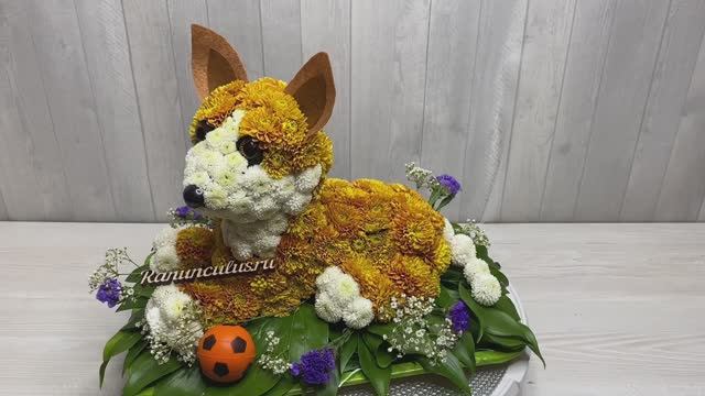 Фигурка корги из живых цветов смотреть онлайн