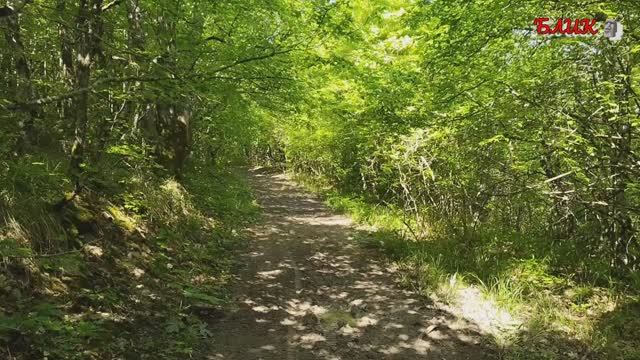 Новая музыкальная коллекция: фоновая музыка для медитации смотреть онлайн