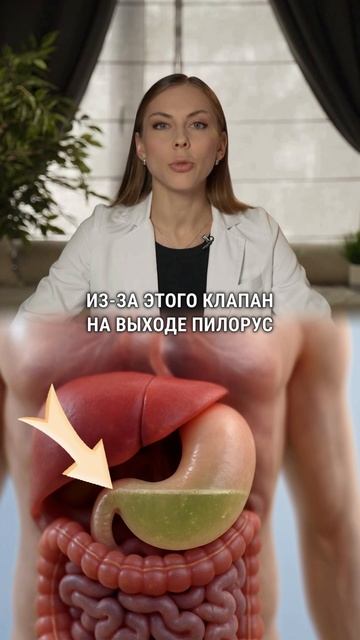 Пакетированный чай каждый день — это безопасно? смотреть онлайн