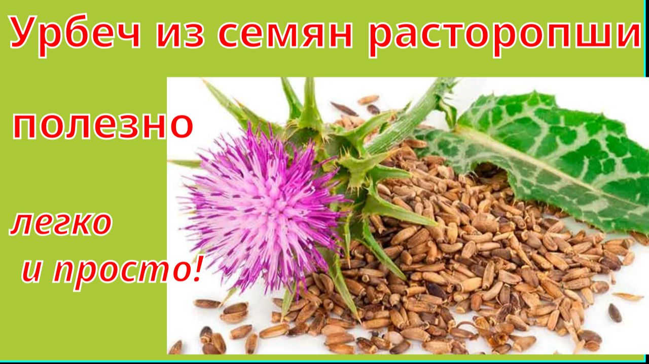 Урбеч из расторопши