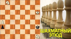 ШАХМАТНЫЙ ЭТЮД. ПОГОНЯ ЗА ПЕШКОЙ-БЕГЛЯНКОЙ