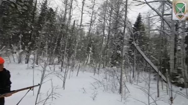 Загонная охота на лося 05.01.2026
Закрытие сезона