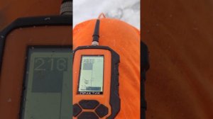 ВЫШЛИ НА ЛЕСНОЕ ОЗЕРО, А ТАМ... РЫБАЛКА В КАРЕЛИИ НА ЛАМБАХ.