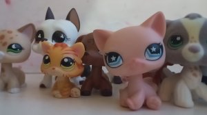 о боже мой у меня новые лпс