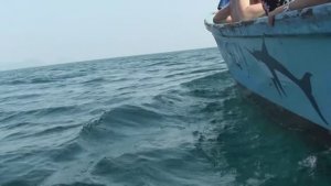 Таиланд 2012 года Часть 1