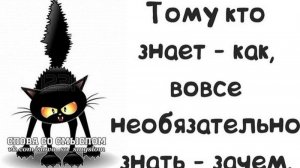 Пушистик Кошка