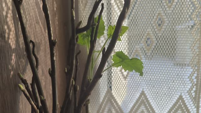 Тихие, уютные дни в деревне