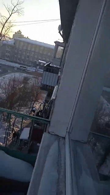 Зимний вид 2 2023 года смотреть онлайн