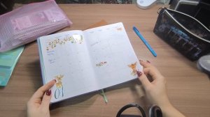 Ежедневник на 2026 год, начинаем заполнять ☃️