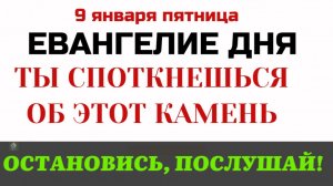 Самая страшная история о неблагодарности. Притча о злых виноградарях.