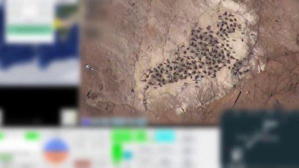 Аэромониторинг в Антарктиде