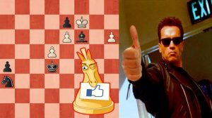 ШАХМАТНЫЙ ЭТЮД. Красивый этюд где кони решают все.